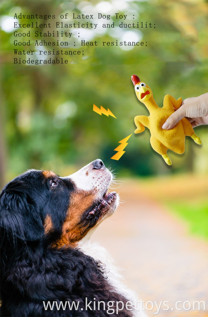 Squeaky Pet Ball Toy